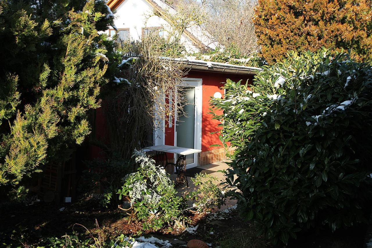 Haus Mit Kunst Zwischen Wald Und Leipzig
