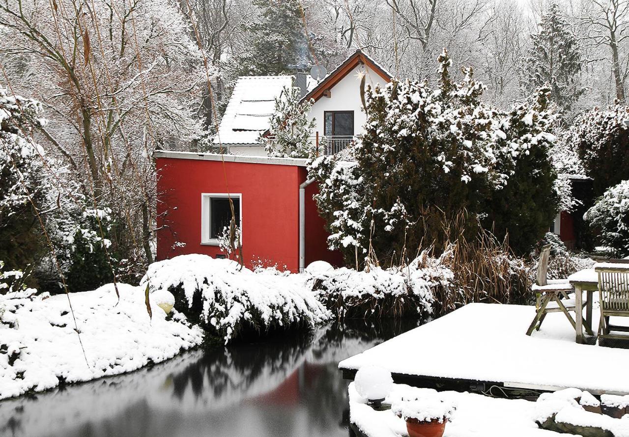 Ferienhaus Haus Mit Kunst Zwischen Wald Und